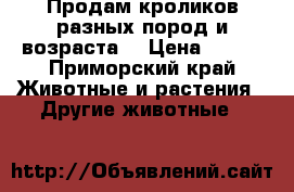 Продам кроликов разных пород и возраста  › Цена ­ 500 - Приморский край Животные и растения » Другие животные   